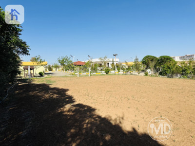 مزرعة (8500م²) image 5