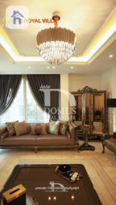 Luxurious Villa with Specious Space Image 3