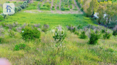 Farm (3000m²) image 12
