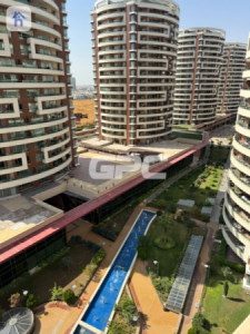 Internal View Apartment image 19