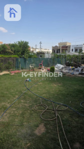 House Opposite Garden image 11