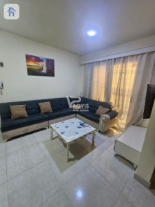 Furnished Apartment For Rent image 1