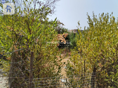 Agricultural Plot (500m²) image 1