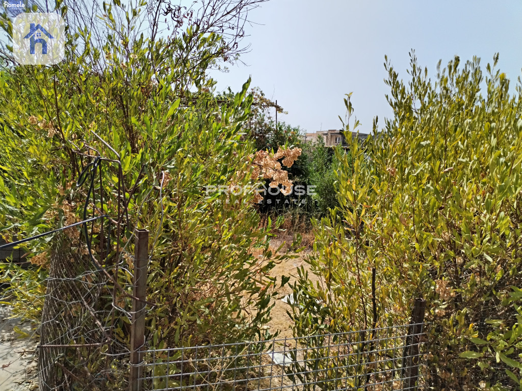 Agricultural Plot (500m²)