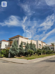 خانووی ڕوکن image 3