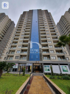 شوقە ڕوو لە باخچە وێنە 10