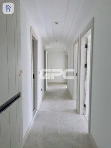 Spacious 3 Bedroom Apartment in Rami Towers image 5
