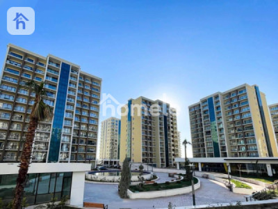 Modern Apartment image 1