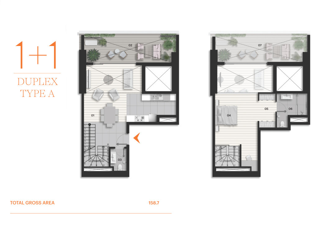 null پلانی نهۆم