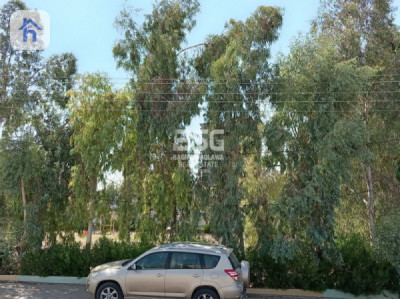 House Opposite Garden image 14