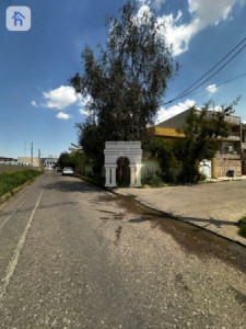 خانووی ڕوکن image 2