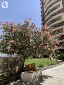 Modern 5-BR Apartment in Erbil Image 3