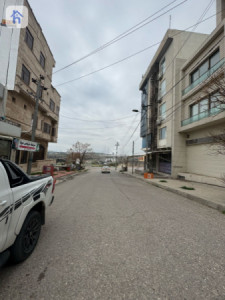 زەوی نیشتەجێبوون لە شەکرەکە image 2