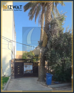خانوویەکی فراوان لە عامرية image 1