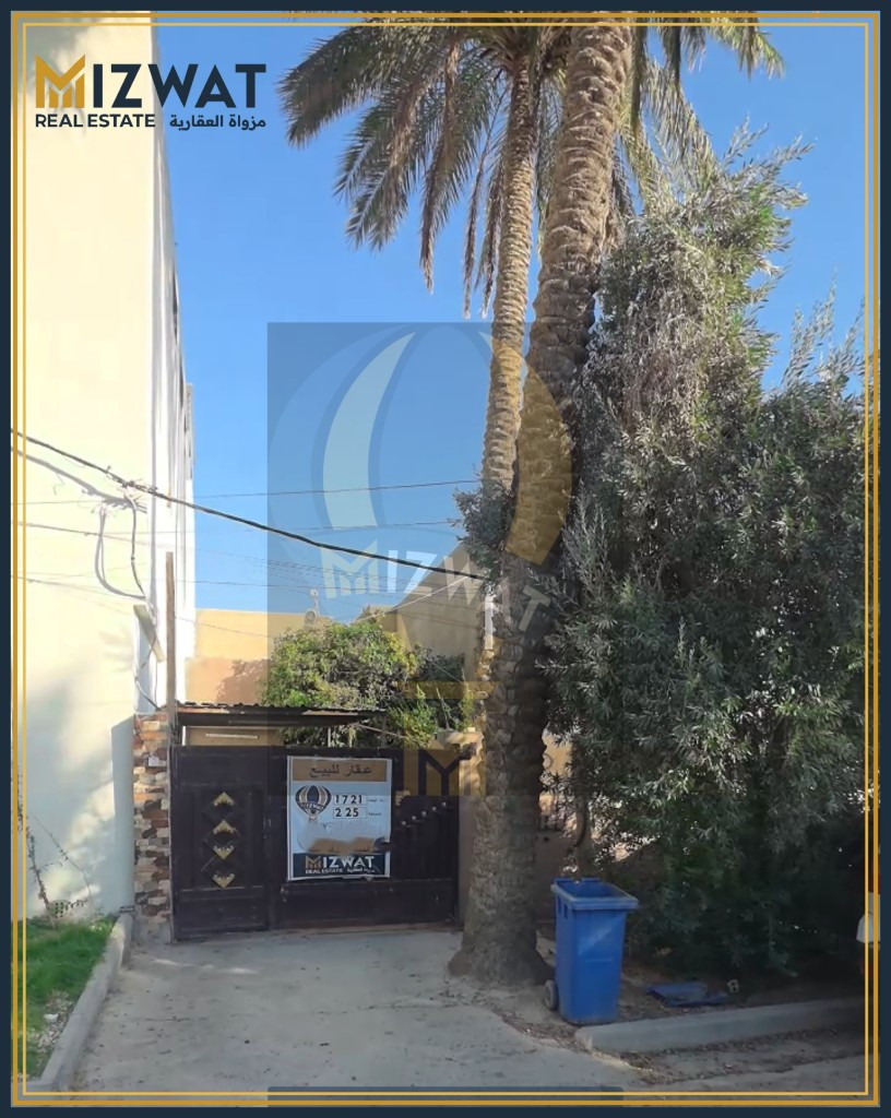 خانوویەکی فراوان لە عامرية