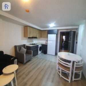 Furnished Apartment For Rent image 1