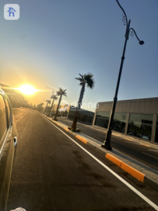 Showroom (600m²) image 3