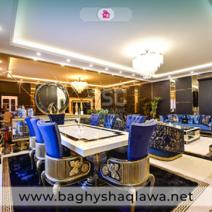 خانووی ڕاخراو بۆ فرۆشتن وێنە 8