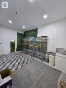 خانووی مۆدێرنی یەک نهۆمی image 7