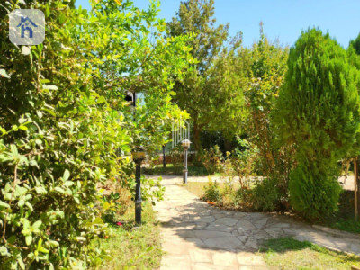 Luxury House Image 6