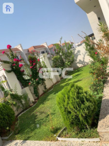 شوقەی ڕوکن image 9