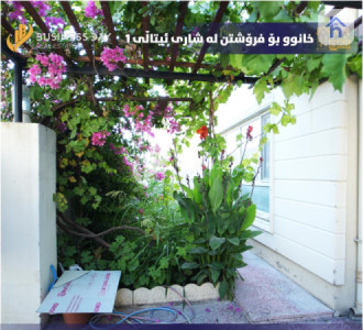 Modern House image 2