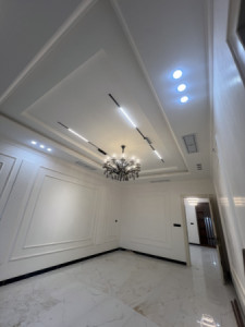 New House image 6
