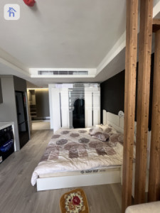 Studio Apartment image 4