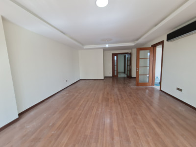 شوقەیەکی فراوان لە پارک ڤیو image 3