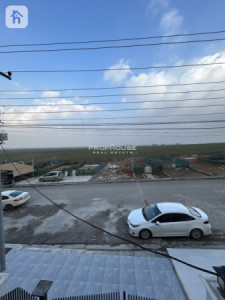 House Opposite Garden image 6