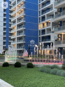 Studio Apartment in Cash image 4