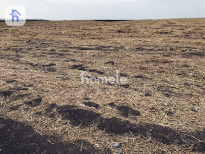 Commercial Plot (20000m²) image 1