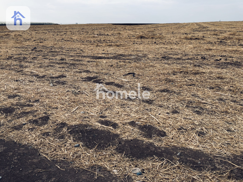 Commercial Plot (20000m²)