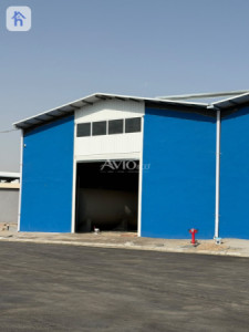 کۆگای نوێ image 4