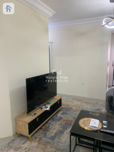 Furnished Apartment For Rent Image 3