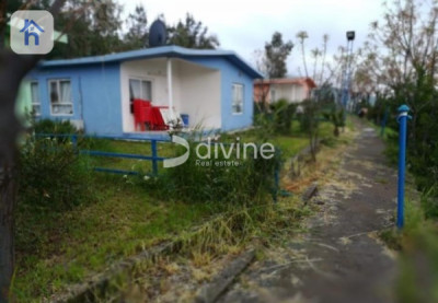 Investment Opportunity with Swimming Pools Image 22