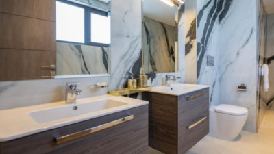 داماک هیڵز وێنە 81