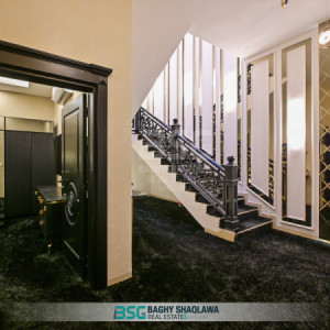 خانووی ڕاخراو بۆ فرۆشتن وێنە 12