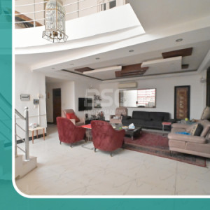 خانووی ڕاخراو بۆ فرۆشتن وێنە 3