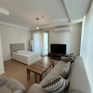 Furnished Apartment For Rent image 3