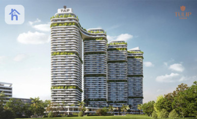 Luxury Apartment Image 4