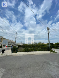 خانووی ڕوکن وێنە 20