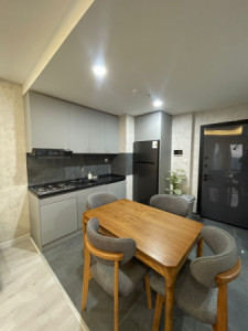 Modern One-Bedroom Apartment image 2