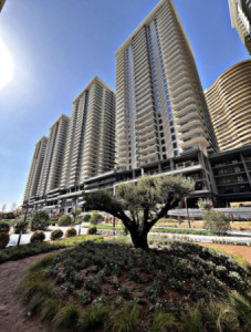 Modern Apartment image 9