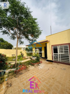 خانوویەکی فراوان لە شاری ئۆزال وێنە 3