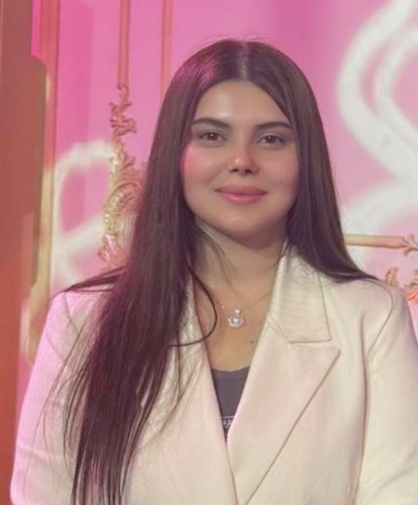 Lavin Bakir