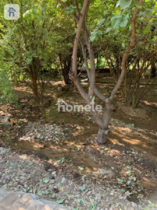 Farm House Resim 5