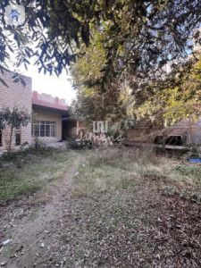 فرصة استثمارية في روناكي صورة 7