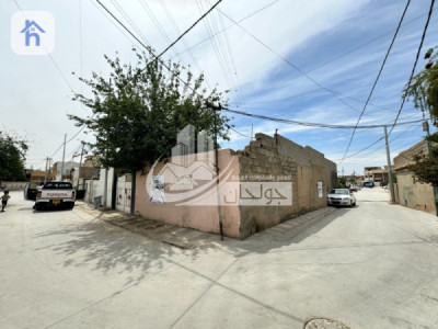 خانووی بازرگانیی ڕوکن image 2