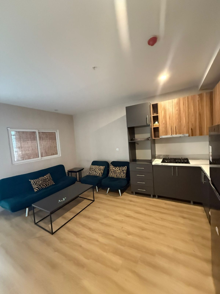Furnished Apartment For Rent
